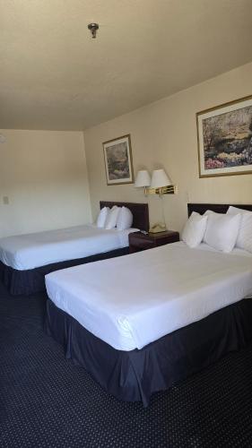 two beds in a hotel room with white sheets at Terrace Inn and Suites in El Cerrito