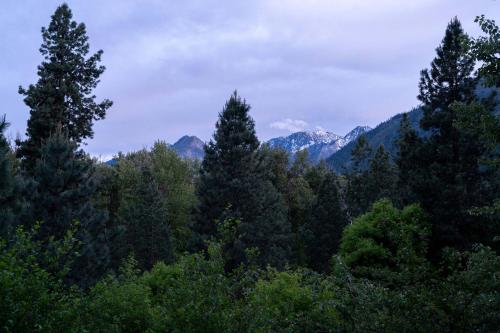 a group of trees with mountains in the background at Snowcreek Suite - Aspen - Hot Tub - Kitchenette in Leavenworth