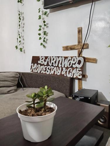a potted plant sitting on a table in a living room at Barnwood Homestay&cafe in Banaue