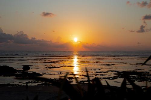 a sunset on the beach with the sun setting at Coral Palms in Amami