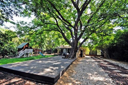 a large tree on a sidewalk next to a playground at Levis in Chorazim