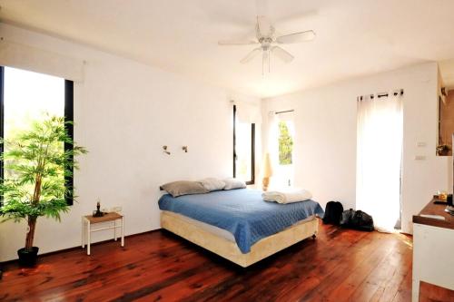 a bedroom with a bed and a ceiling fan at Levis in Chorazim