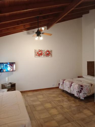a bedroom with two beds and a ceiling fan at Aparts Tatiana Merlo San Luis in Merlo