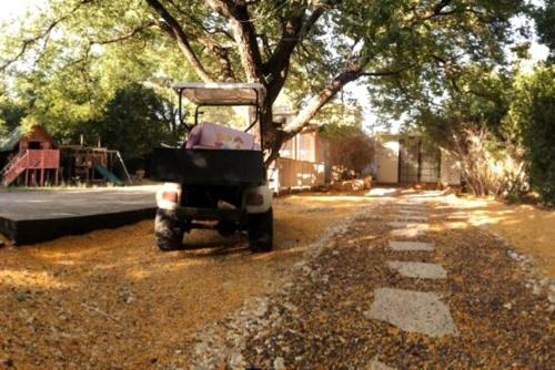 a truck parked in a yard next to a tree at Levis in Chorazim