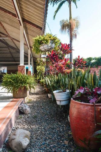 Gallery image of Vaiolett Hotel Campestre in Villavicencio