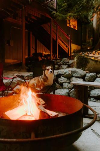 a fire pit with a dog sitting next to it at Bellingham A-Frame - Hot tub - Fireplace - Firepit in Bellingham
