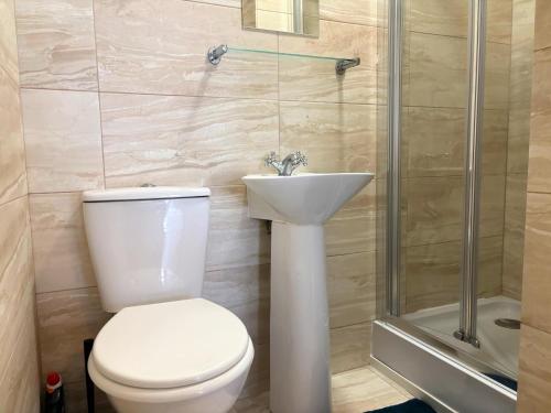 a bathroom with a toilet and a sink and a shower at Shirley Apartments, Cozy Studio, Self Check in, 10 min Drive to City Centre, Walking to Redbridge Train Station in Southampton