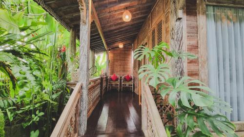 a porch with plants and red chairs on it at Aura Guesthouse in Ubud