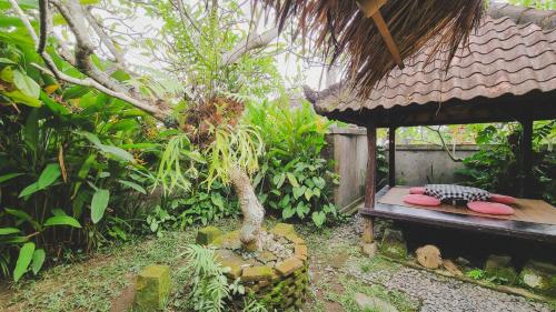 a bench in a garden with a small tree at Aura Guesthouse in Ubud