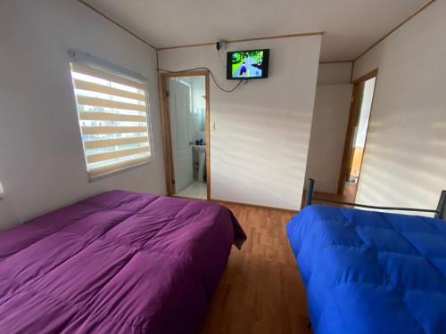 a bedroom with a purple bed and a tv on the wall at Hostal Flor Austral in Chile Chico