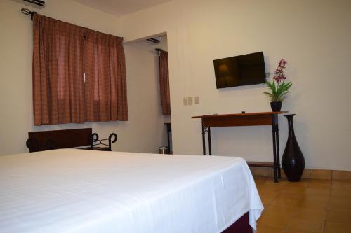 TV a/nebo společenská místnost v ubytování Hotel Dario Granada