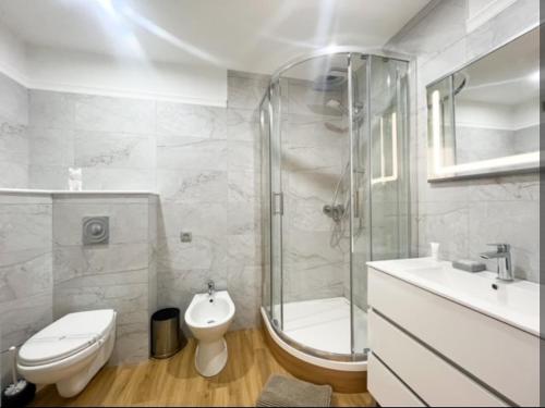 une salle de bain avec toilettes, douche et lavabo dans l'établissement Appartement, proche du palais des festivals, plage et commerces, à Cannes