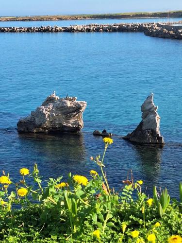 Fotografia z galérie ubytovania LA CHIOCCIOLA XX MIGLIA v destinácii Terrasini