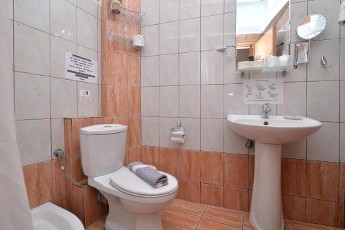 a bathroom with a toilet and a sink at Εlvina apartments in Leptokaria