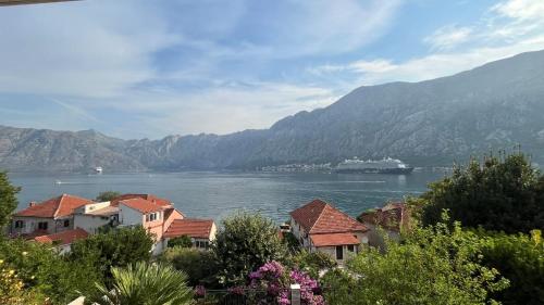 a cruise ship in a large body of water at Apartments Boka bay in Kotor