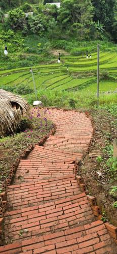 a brick path in a field with flowers on it at Pú Nhu House Mù Cang Chải in Mù Cang Chải