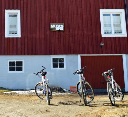 Fotografie z fotogalerie ubytování MUSES BNB Bed & Breakfast v destinaci Bergvik
