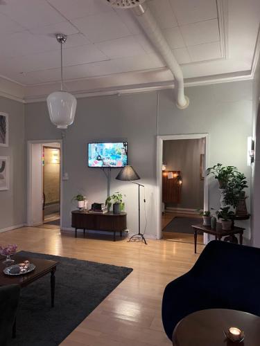 Hotel Park Alléにあるテレビまたはエンターテインメントセンター