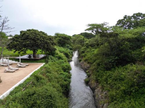 a river in the middle of a forest at Kili Seasons Hotel in Arusha