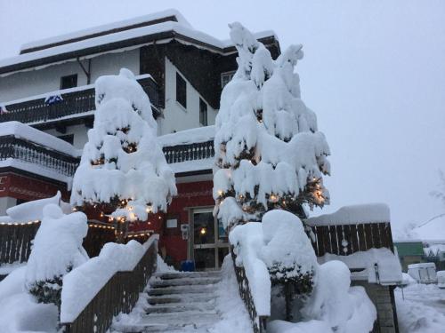a snow covered christmas tree in front of a building at Albergo Trieste in Tambre dʼAlpago