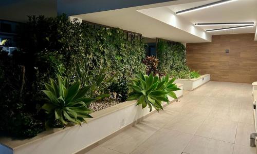 a hallway with plants on the wall in a building at Cosmos Residence in Paralimni