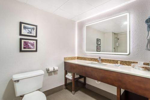 a bathroom with a sink and a toilet and a mirror at Comfort Inn Charlotte Airport Uptown in Charlotte