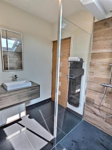 une salle de bain avec douche et lavabo dans l'établissement Magnifique Villa, Piscine, Paris à 15 min, Parking, à Sèvres