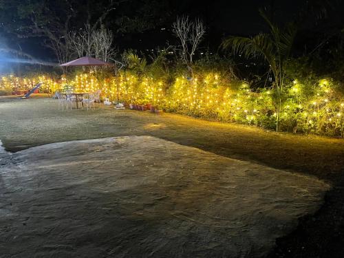 a garden with a table and lights at night at Oxygen Homestay-A Blissful Retreat in Dehradun