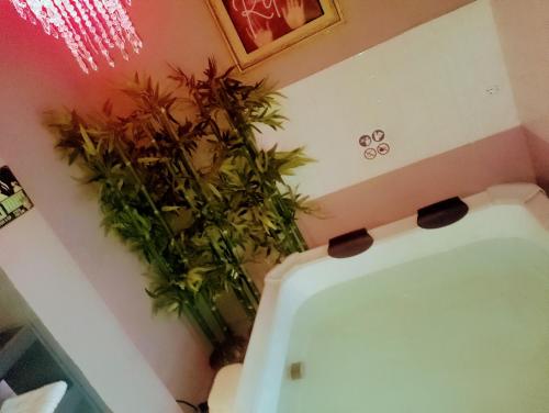 a bathroom with plants on the walls and a tub at Spa suite Parma in Parma