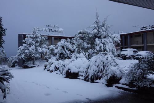 a group of trees covered in snow in front of a building at Alpine Motor Inn in Katoomba