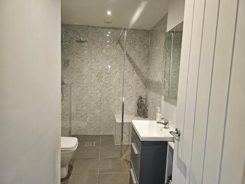 a bathroom with a shower and a toilet and a sink at The Dairy in Swindon