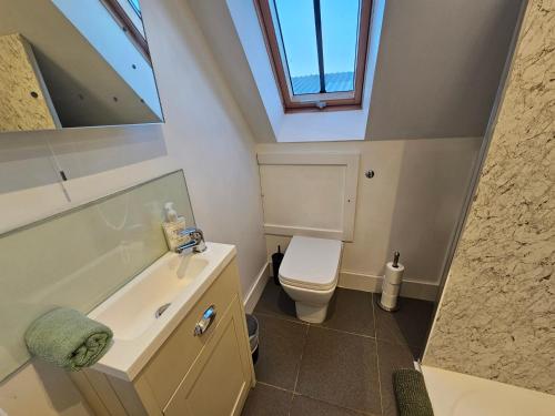 a bathroom with a toilet and a sink and a skylight at The Dairy in Swindon