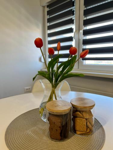 a vase with red flowers in it on a table at Apartman L, SELF CHECK IN, FREE PARKING in Karlovac