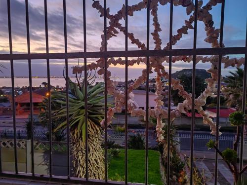 a view of a city from a window with flowers at MayBach Hills Palace Guesthouse in Saldanha