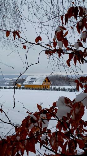 a house in a snow covered field with a building at Dom Ci Spokój in Czudec