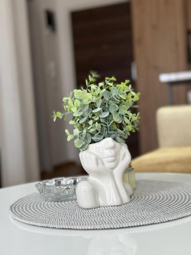 Imagen de la galería de Royal apartmani Vrnjačka Banja, en Vrnjci