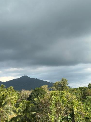 a view of a jungle with trees and mountains at Solana Inn El Nido in El Nido
