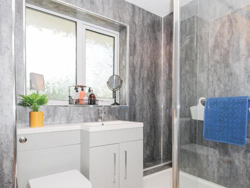 a bathroom with a white sink and a window at No 1 The Heathers in Saint Cleer