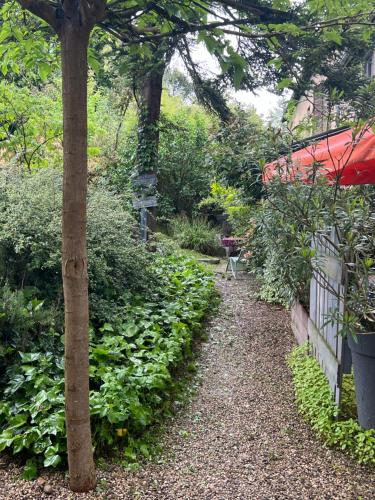 a path in a garden with a red umbrella at Matin de Saône in Fontaines-Saint-Martin