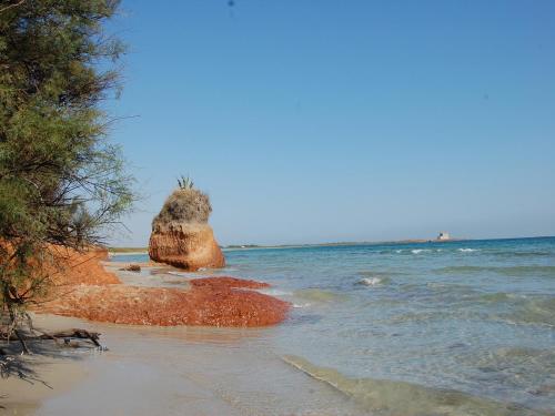 a rock in the water on a beach at Al Ristoro in Torre Santa Sabina