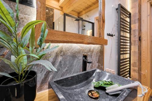 a bathroom with a stone sink and a plant at Odkryj-Zakopane Tatra View Houses & SPA in Kościelisko