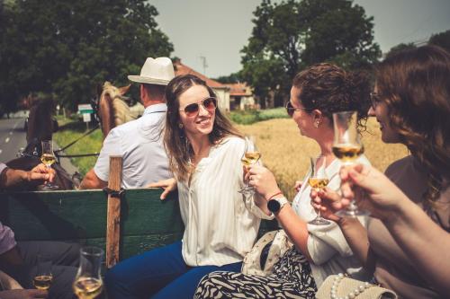 a group of people sitting on a horse drawn carriage drinking wine at Hotel Cabernet in Villánykövesd