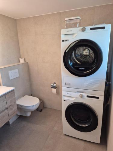 a washer and dryer in a bathroom with a toilet at Campagne - appartement rénové avec 2 chambres in Estavayer-le-Lac