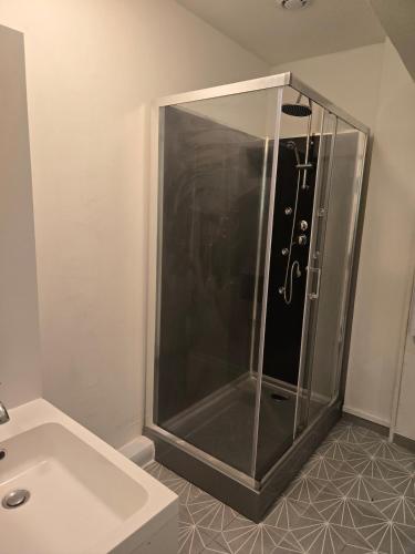 La salle de bains est pourvue d'une cabine de douche et d'un lavabo. dans l'établissement Studio Atypique Jacuzzi, à Tarbes