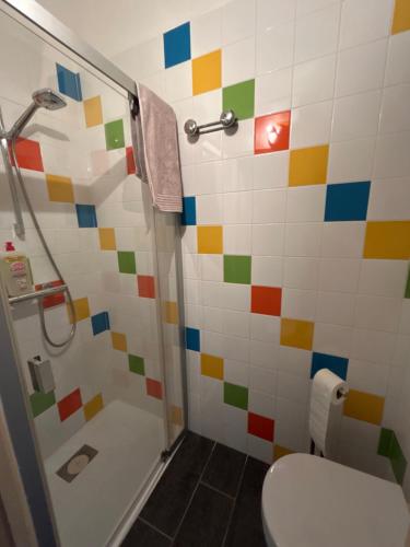 a bathroom with a toilet and a shower with colorful tiles at Part des Anges - Gîte Hautvillers in Hautvillers