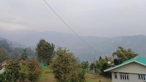 a house on a hill with a mountain in the background at Twin Garden in Gangtok