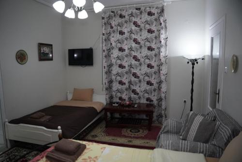 Ένα ή περισσότερα κρεβάτια σε δωμάτιο στο Trikala Apartments