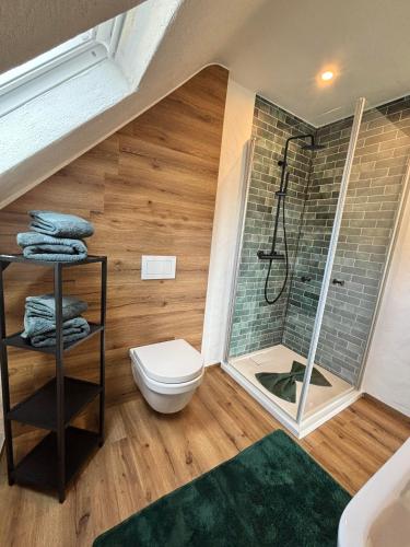 a bathroom with a toilet and a shower at harmony holiday, Pension in Kerschenbach