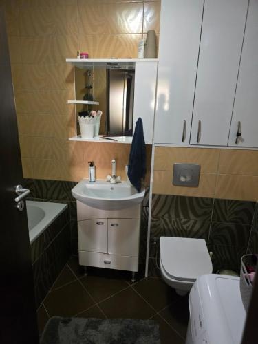 フェリザイにあるAna Apartamentの洗面台とトイレ付きのバスルーム