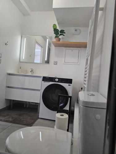 une salle de bain avec une machine à laver et un lavabo dans l'établissement BrandNEW Duplex Penthouse 7pers à proximité Disneyland Paris, à Montévrain